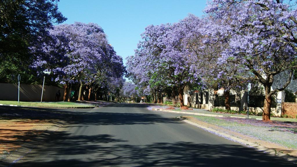 Randburg Northcliff Bed And Breakfast المظهر الخارجي الصورة